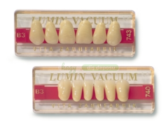 LUMIN VACUM 28LIK TAKIM DIS ( PORSELEN )