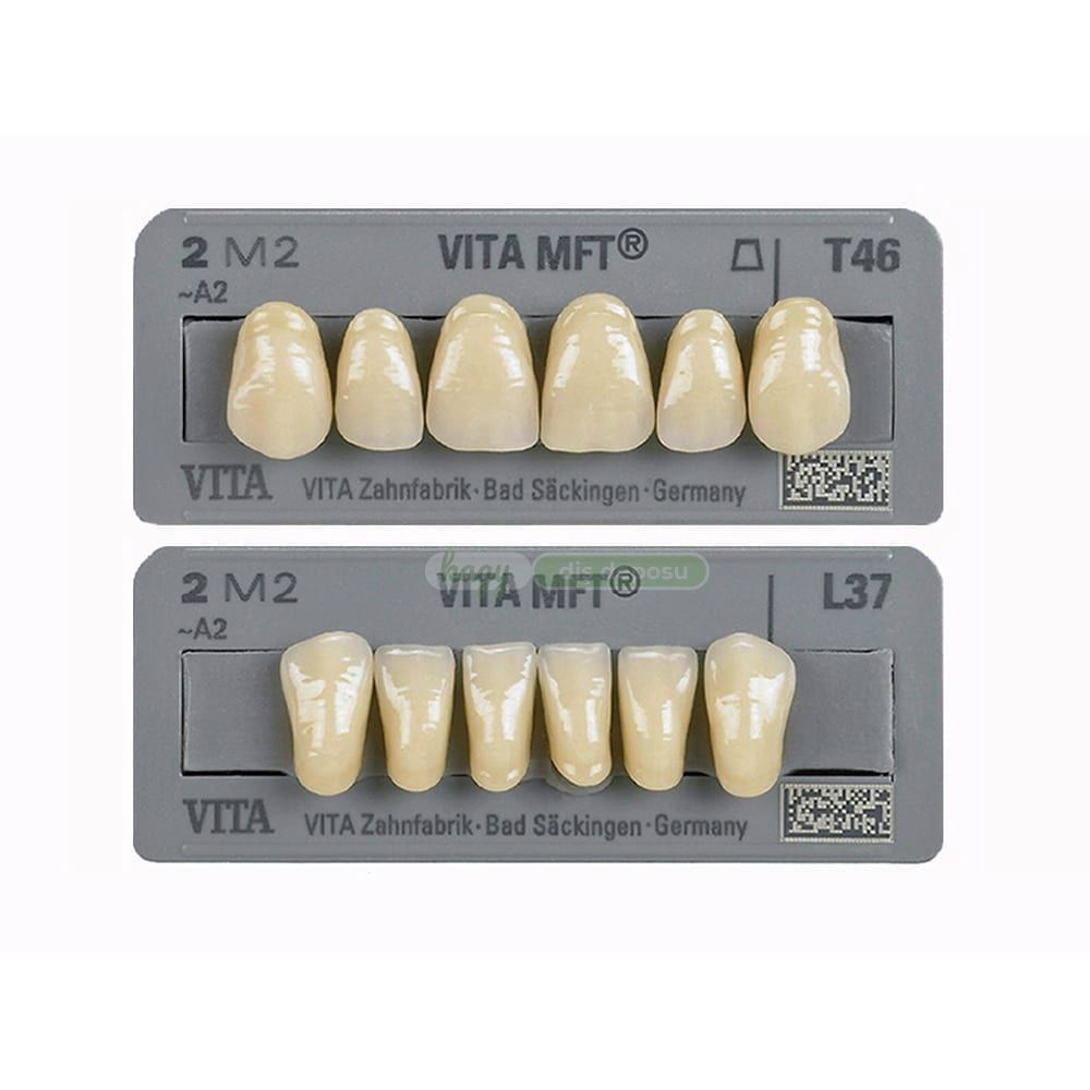 M.F.T 28LIK TAKIM DIS