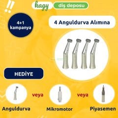 4+1 Kampanya